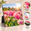 High-gloss photo plaque displaying vibrant pink tulips with a 0.25-inch edge