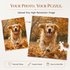 Golden retriever photograph transformed into a personalized custom photo puzzle.