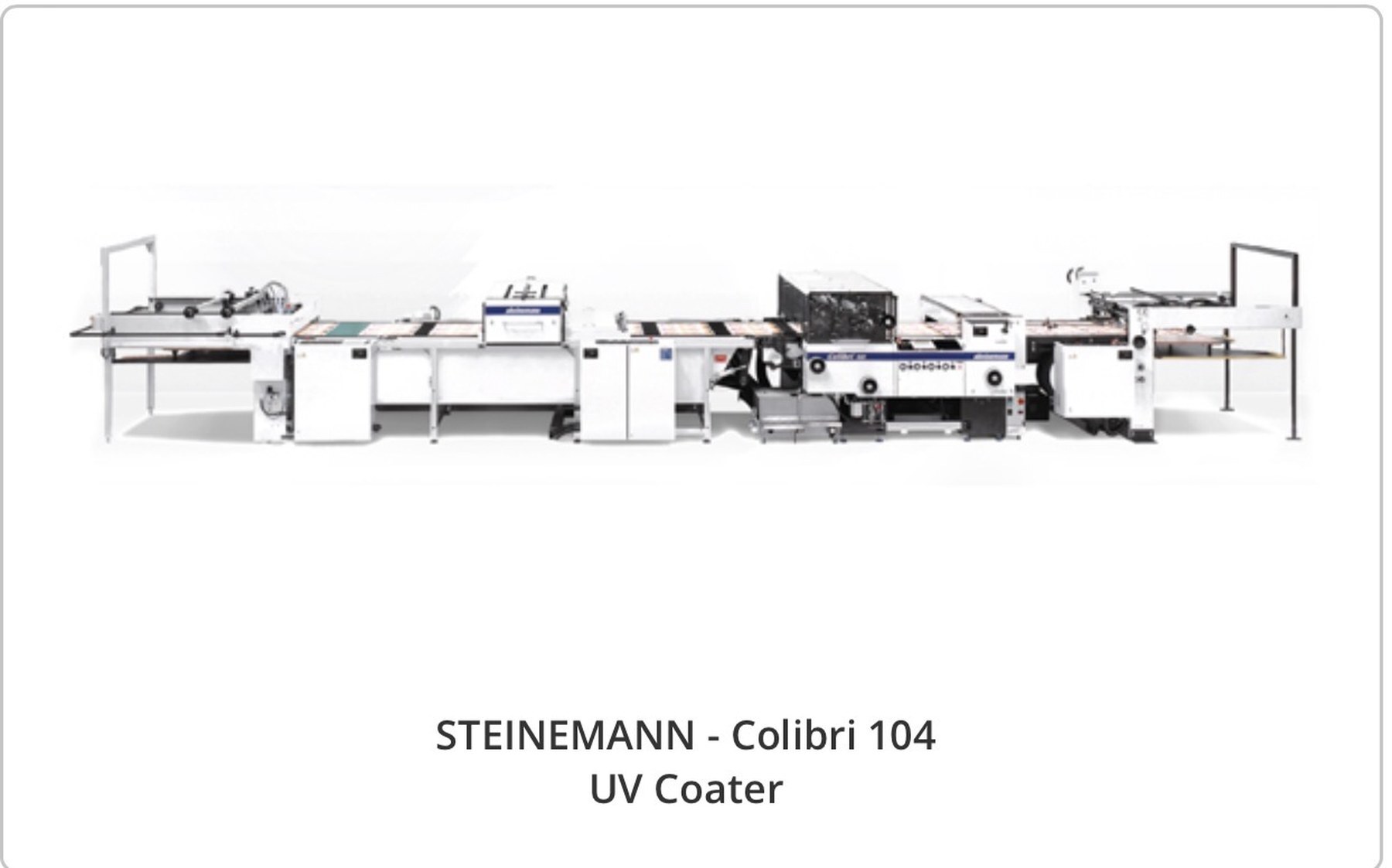 STEINEMANN Colibri 104