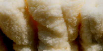 Sheep Wool Insulation:  A Low-Carbon Solution