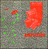 Amplifier [Vinyl] DB's