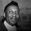 MUDDY WATERS The Essential Collection - Sealed Virgin Vinyl Import LP with 16 Rare Tracks
