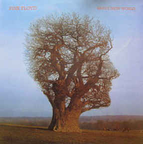 PINK FLOYD Brave New World -  New PINK MARBLED Vinyl LP, Live '77