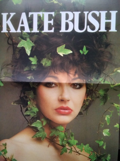 KATE BUSH Live at The Hammersmith Odeon - New Heavyweight Colored Vinyl Import LP with POSTER!