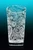 Trippy Pint Glass 16oz.