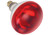 Winco EHL-BR Replacement Bulb for EHL-2, 250W, 2.1A, Red