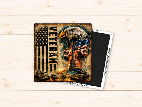 Military Veteran Bald Eagle American Flag