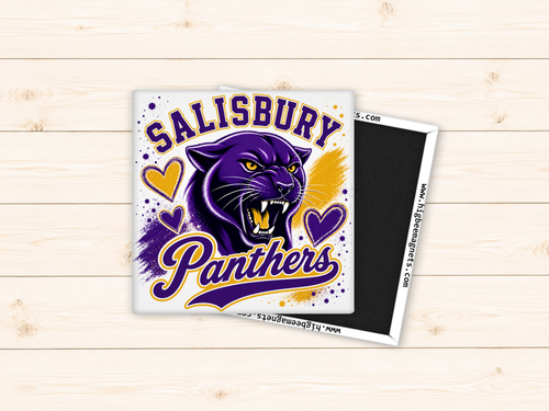 Salisbury MO Panthers School