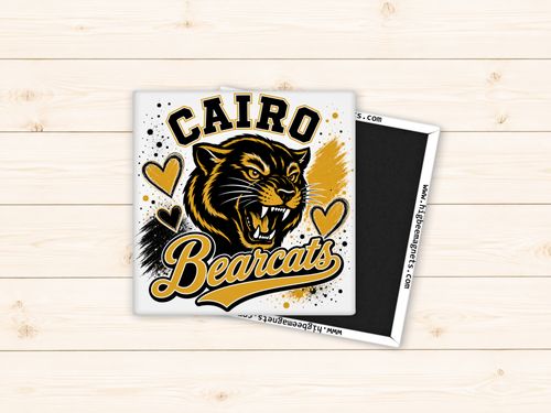 Cairo MO Bearcats School