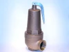 CONBRACO 10-618-05 Industries, Inc. 1061805 2 X 2.5 30# ASME HWRV 6,091,000btu