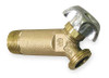 RHEEM SP12112G Electric Drain Valve, Commercial