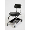 LDS Industries LDS-3010001 Creeper Seat with Backrest LDS.