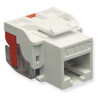 ICC IC1078L6-WH Cat 6 Ez Modular Connector, White.
