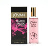 Stetson Original 10079296 JOVAN BLACK MUSK LADIES- COLOGNE SPRAY 3.25 OZ