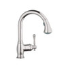 Grohe 46875ND0 46 875 ND0 Bridgeford Dual Spray Head