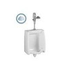 American Standard 6590.001.020 6590001.020 WASHBROOK UNIVERSAL URINAL, TS