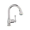 Grohe 46875EN0 46 875 EN0 Bridgeford Dual Spray Head