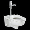 American Standard 3351.576.020  Afwall Universal Floor Mount Toilet Bowl with Everclean and Dual Flush Selectronic Flush Valve