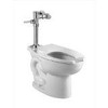American Standard 2854.016.020  Madera ADA 1.6 GPF EverClean Toilet with Manual Flush Valve, White