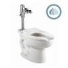 American Standard 3451.511.020  Madera 15-Inch Elongated Universal Floor Mount Toilet Bowl with Everclean and 1.1 Gpf Selectronic Flush Valve