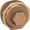 "Nibco" 8162 2" Fitting x Cleanout, Copper DWV Cleanout