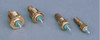 FARIA 5103255Faria 3/8" Temp Sender