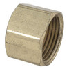 T&S Brass 40-6X Brass Craft 3/8-Inch OD Flare Cap