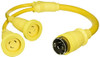 HUBBELL 6031549 Hubbell Systems Molded Y Adapter, 30A, 125V, 2P, 3W Twist-Lock Female end with 50A, 125/250V, 3P, 4W Twist-Lock Male end, Yellow