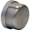 MERIT B1875067 1-1/4 In. 304 Stainless Steel Cap - FNPT - Class 150 - 300 PSI - Import