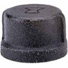Anvil International B1754460 1-1/4 In. Black Malleable Cap 150 PSI Lead Free