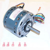 Carrier 298380 OEM Upgraded Bryant 1/3 HP 115v Furnace Blower Motor