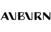 Auburn E5-I-31-2 Auburn Ignitor Auburn Ignitor