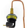 Laars Heating Systems RE2058300 "1/2"" NPT Male Aquastat Well"