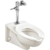 American Standard A5900A05GT020 N/A Aquawash Manual Spalet Seat With Telescoping Lid White 5900A05GT020