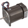 PUMP MOTOR 110V/60HZ 2U0106-01 HOSHIZAKI