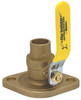 WEBSTONE 106884 ISOLATION PUMP FLANGE WITH ROTATING FLANGE, 1 IN. SWEAT.