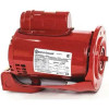 BELL & GOSSETT 1BL063 Xylem- "PL-130