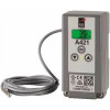 Johnson Controls F261MEH-V01C Low-flow model flow switch with Type 4 (NEMA) encl