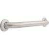 Delta 40118-SS  Commercial Grab Bar with Concealed Mounting, 18-Inch, Stainless