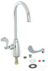 Zurn Z825B4-XL Single Lab Faucet with 5-3/8" Gooseneck and 4" Wrist Blade Handle - Lead Free,