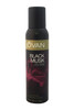 Black Musk W-BB-2594 Jovan 5 oz Deodorant Spray Women