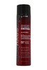 Sexy Hair U-HC-7375 Big Color Safe Volumizing Conditioner 10.1 oz Conditioner Unisex