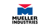 Mueller Industries B34235 7/8 Four-Bolt Check Valve