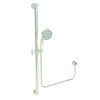 Ginger USA N280F/15S Slide Bar with Multifunction Hand Shower Set
