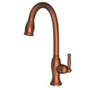 Ginger USA N2510-5103/08A Brass 2510-5103 Nadya Single Handle Kitchen Faucet with Pull-down Spray, Antique Copper