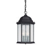 CAPITAL 9836BK 3 Light Hanging Lantern Capital lighting has an exceptional line of quali