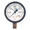DIXON VALVE 238-GLS450 2 1/2 STNLS LM 0-3000 PS