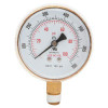 BEST WELDS 900-B25100 BW 2-1/2X100 BRASS REPLACEMENT GAUGE
