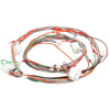 D SERIES WIRING HARNESS for Frymaster - Part# 8074597