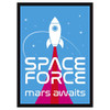 LegionSupplies LGNMAT095 DP: Space Force (50)